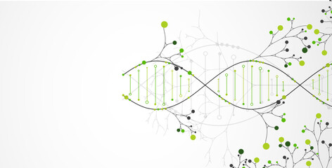 Aufkleber - Scientific medical background with abstract image of dna molecule and tree branches. Hand drawn vector illustration.