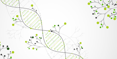 Aufkleber - Scientific medical background with abstract image of dna molecule and tree branches. Hand drawn vector illustration.