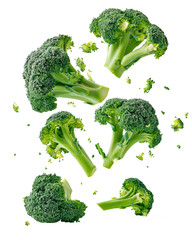 falling broccoli isolated on white or transparent png