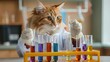 © Aqsa - A walking cat student in a lab coat, holding test tubes, ready for a science experiment.