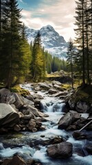 Canvas Print - Multi level of small stream waterfall mountain nature forest.