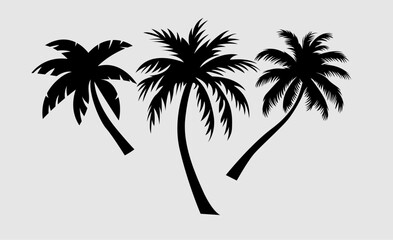 palm tree vector design