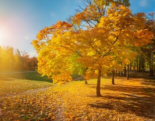 New Autumn leaf closeup.New Bright orange tree change. Golden color in park Light sunny warm october day.Best Red leaves in garden Sun in blue sky.