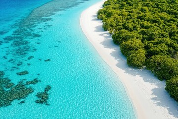 an aerial view of a tropical island with white sand and blue water