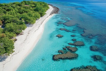 Wall Mural - an aerial view of a sandy beach and clear blue water