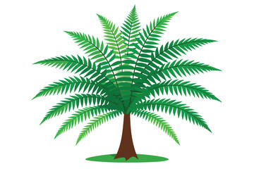 fern tree white background K.eps