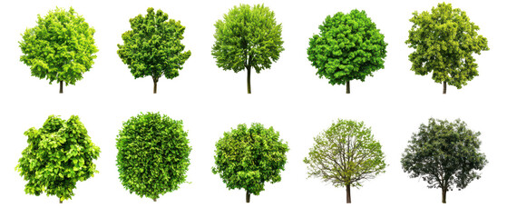 Collection of top view, various tree top shapes showcasing different shades of green foliage in a natural setting, cutout, png