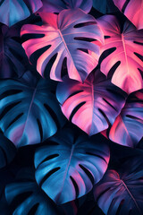 Poster - Dark botanical background with overlapping black and deep purple monstera leaves, illuminated with subtle backlighting to create depth, isolated on a pastel pink border,