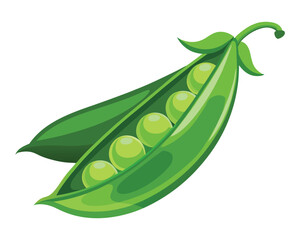 Fresh Peas Vegetable vector illustration