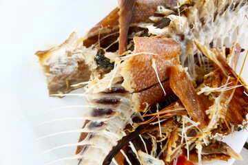 Close-Up of Fish Bones and Leftover Fish Skin - Culinary Remnants, Seafood Presentation, Texture Background