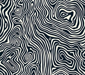 Poster - Abstract black and white wavy pattern resembling topographic lines or a maze-like design. Perfect for use as a seamless background, modern decor, or textile designs.