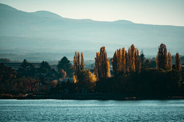 Wall Mural - a beautiful landscape with a lake and trees in the background