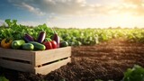 Fresh organic vegetables in a wooden crate on a farm field during sunset, symbolizing harvest season and sustainable agriculture.