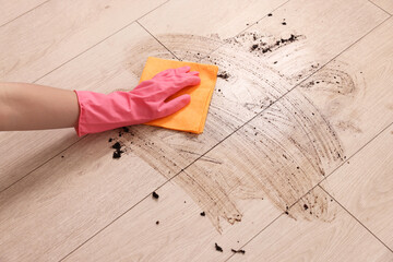 Poster - Woman cleaning dirt on wooden floor, closeup