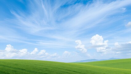 Wall Mural - Expansive green field with fluffy white clouds against a bright blue sky.