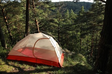 Wall Mural - Modern camping tent in forest at summer, space for text