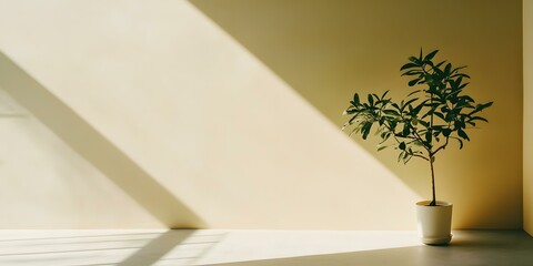 Poster - Minimalist Plant in a White Pot Against a Beige Wall with Sunlight