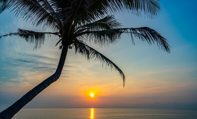 View of the sunrise, coconut trees, sea, beach in the morning