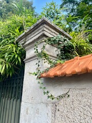 Wall Mural - garden gate in a garden