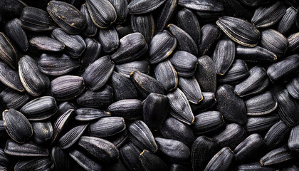 Poster - Sunflower seeds background