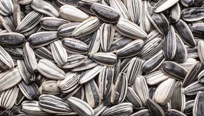 Wall Mural - Sunflower seeds background