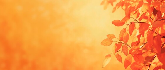 Wall Mural - Autumn background with blurred autumn leaves on an orange and yellow gradient background, a beautiful abstract background with space for text or design.