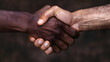 © Wagner - Diverse Handshake Partnership Multicultural Glob