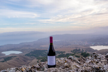 Wall Mural - Bottle of wine in nature