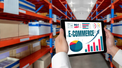 E-commerce data software provide modish dashboard for sale analysis to the online retail business