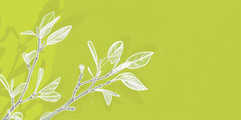 Wall Mural - A simple white line drawing on a lime green background of a tree branch with a few leaves. The vibrant color highlights the freshness and energy of the natural world.
