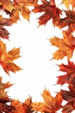 Fototapeta Natura - A collection of fall leaves arranged in a circular shape on a white background