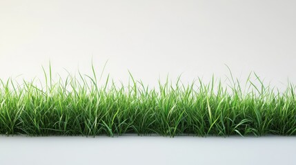 Canvas Print - Fresh Green Grass Background