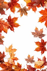 Poster - A collection of fallen leaves forming a circular shape against a white background