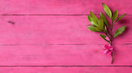   A pink wooden background with a single pink flower on a green stem and two green leaves on the other end