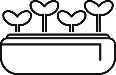 Poster - Four seedlings growing from the soil in a rectangular pot, representing plant growth and gardening