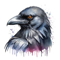 Poster - Crow head watercolor art style logo on plain white background