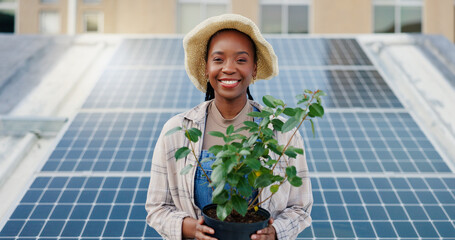 black woman, farmer and plant with solar panel for eco friendly, sustainable future and infrastructu