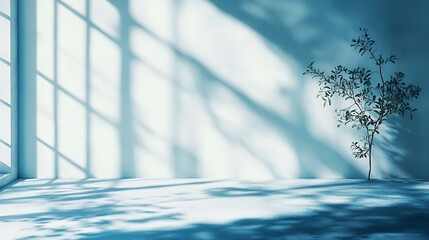 Poster - Studio style background wall decoration presentation uses white and blue tones with shadows cast from a nearby window concept creating a decorative backdrop : Generative AI