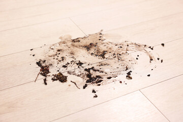 Sticker - Mud stain on wooden floor indoors, closeup