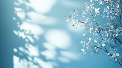 Poster - Minimalistic abstract gentle light blue background for product presentation with light and intricate shadow from tree branches on wall : Generative AI