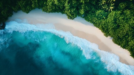 Poster - Summer nature landscape Aerial view of sandy beach and ocean with waves Beautiful tropical  island white empty beach and sea waves seen from above top aerial view Tranquil relaxing sce : Generative AI