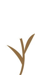 Wall Mural - A white reed