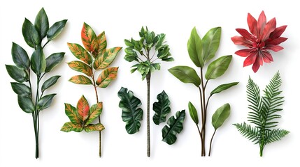 Wall Mural - Plant element set onwhite background 