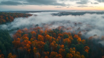 Wall Mural - Aerial view of beautiful colorful autumn forest in low clouds at sunrise Top view of orange and green trees in fog at dawn in fall View from above of woods Nature background Multicolor : Generative AI