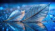 © aunject - Macro shot of two skeleton leaves on a wet surface with a blue nature background and soft illumination , leaves, water