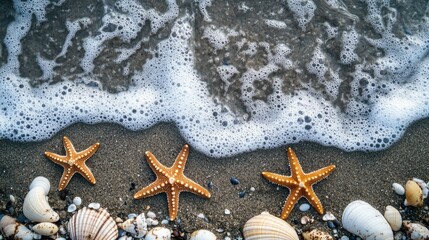 Wall Mural - Summer beach with starfish and shells