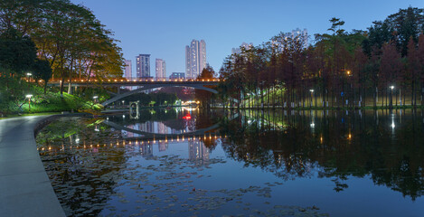 Wall Mural - A grove of larch trees along the lake in City Park