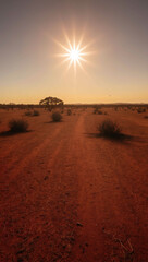 Wall Mural - australian sun outback red soil background art design backdrop