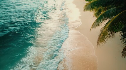 Canvas Print - Tropical Beach with Palm Tree and Waves Crashing on Shore