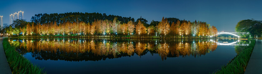 Wall Mural - Night view of red foliage of larch by the lake in City Park